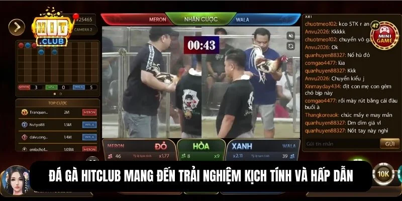 Hitclub ⚜️ Tải Hit Club Game Bài 2026, Xanh Chín + 99 USD 14 Các trận đá gà tại đây đảm bảo tính minh bạch với tỷ lệ trả thưởng rõ ràng, dao động hợp lý giữa các cửa cược.